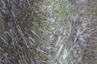 Wales End fibreglass roof work